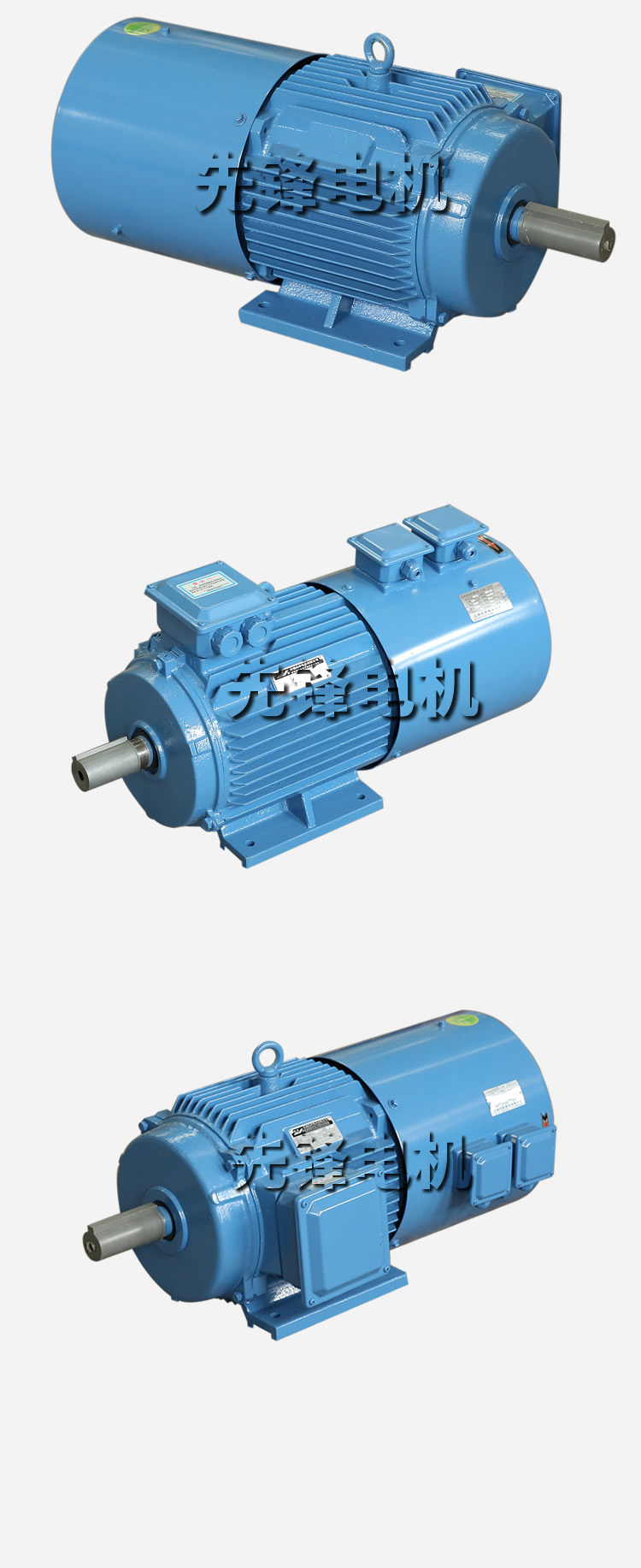 YTSP變頻電機(jī) (2).jpg